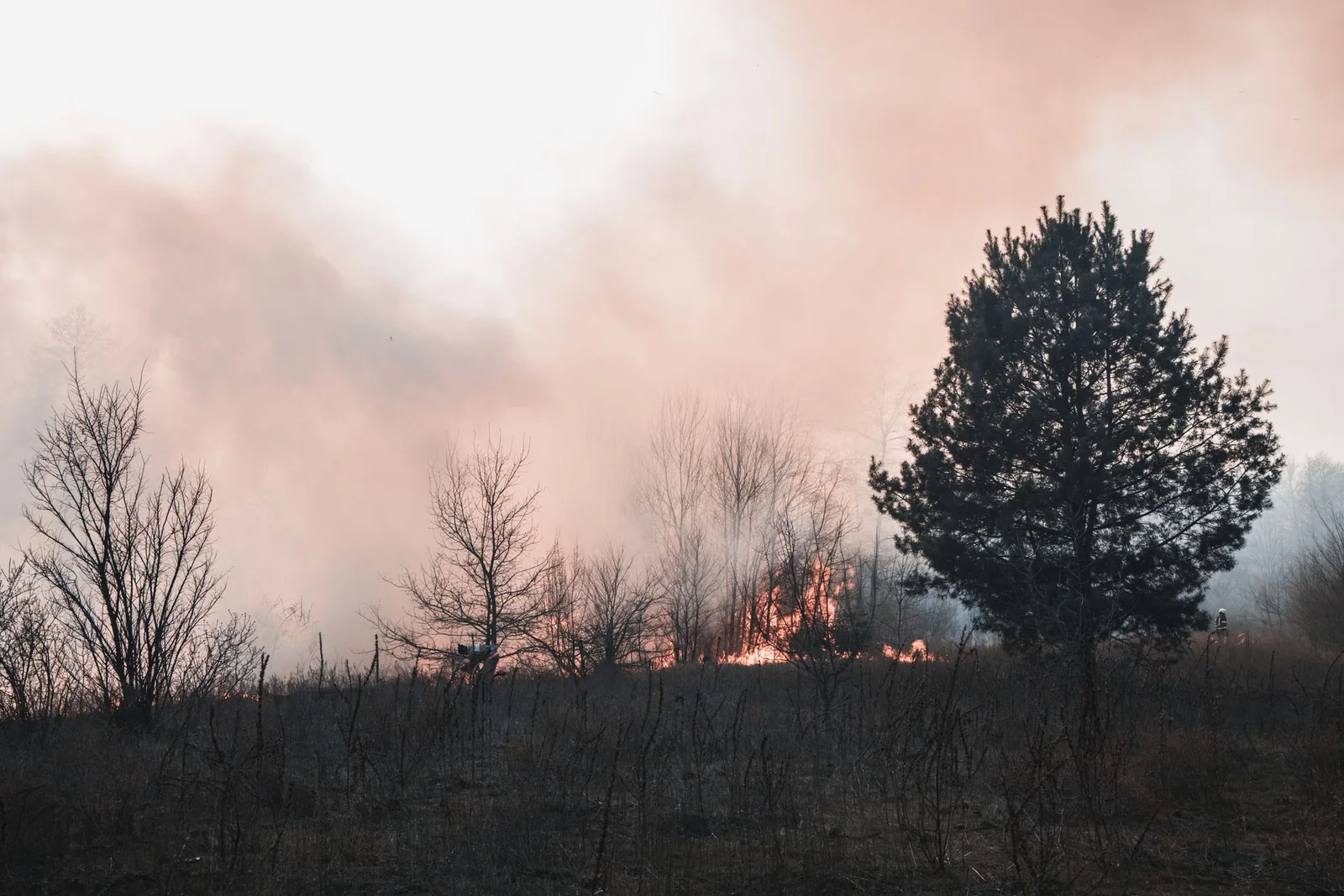 Incendies en Gironde : vos droits en tant que campeur