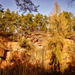 Bivouac en Île-de-France : la règle, parc par parc