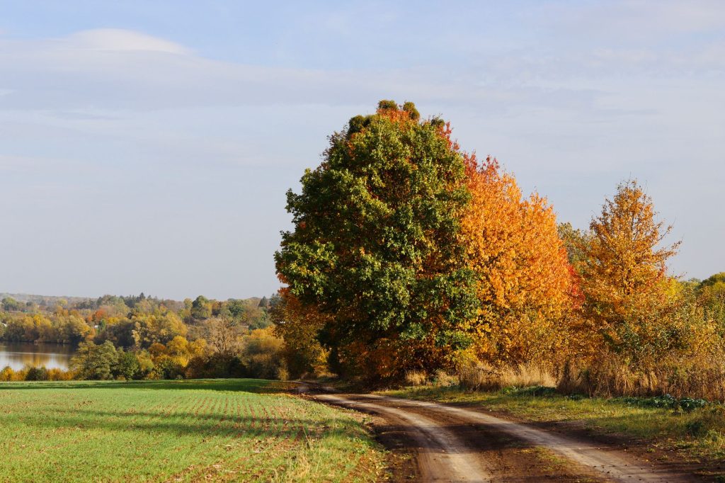 Le déplacement de saison, qui change tout