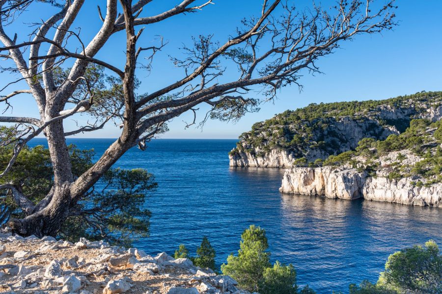 Paysage de Provence-Alpes-Côte d'Azur