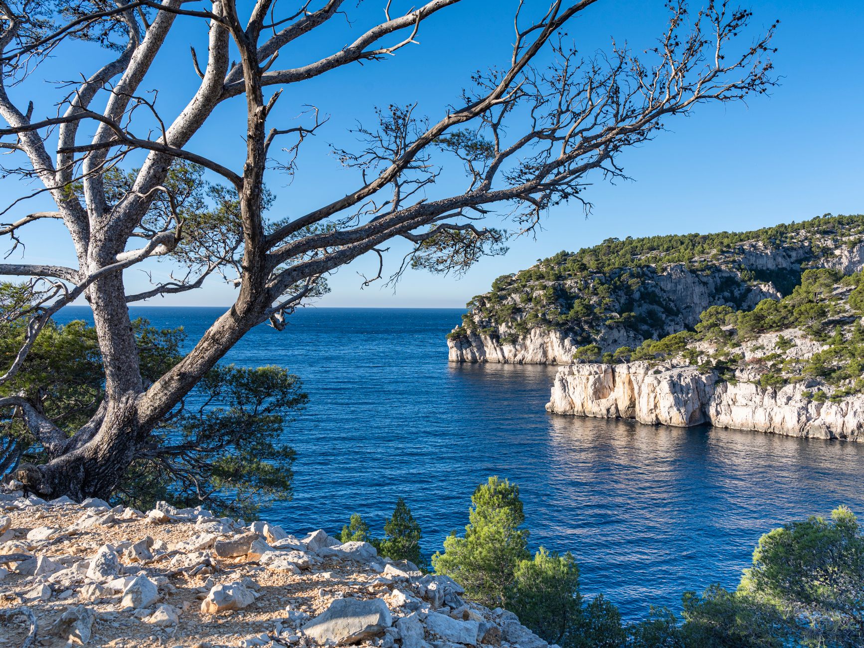 Bivouac en Provence-Alpes-Côte d&rsquo;Azur : la règle, parc par parc