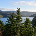 Bivouac en Grand Est : la règle, parc par parc