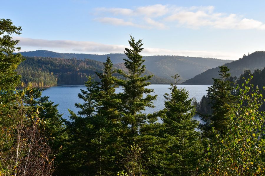 Paysage de Grand Est