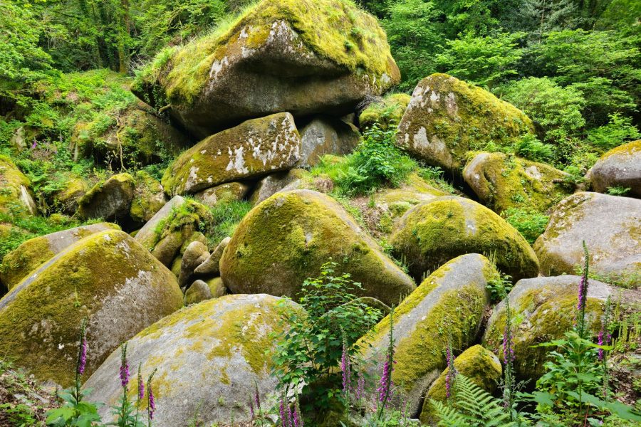 Les blocs de grès du massif de Fontainebleau