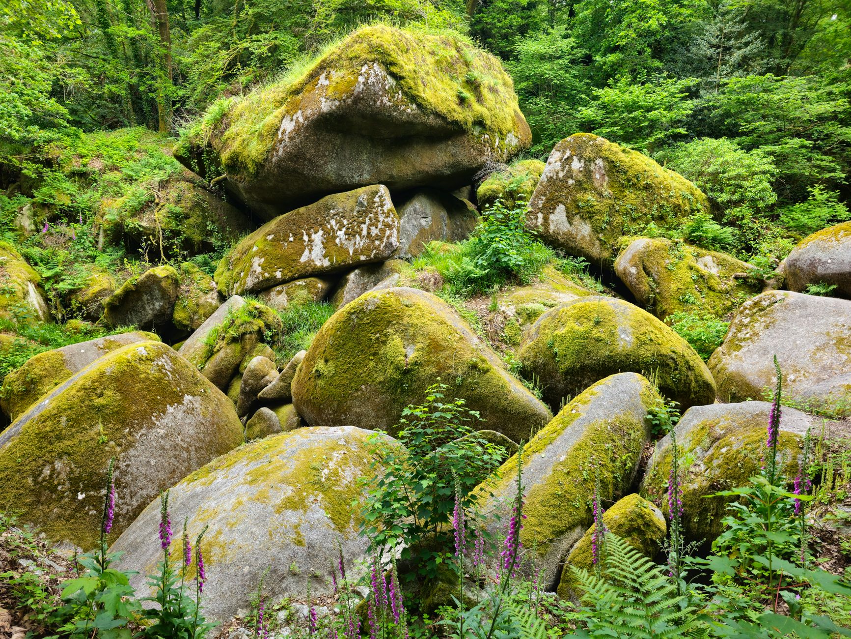 Bivouac et camping à Fontainebleau : ce qui est vrai, ce qui ne l&rsquo;est pas