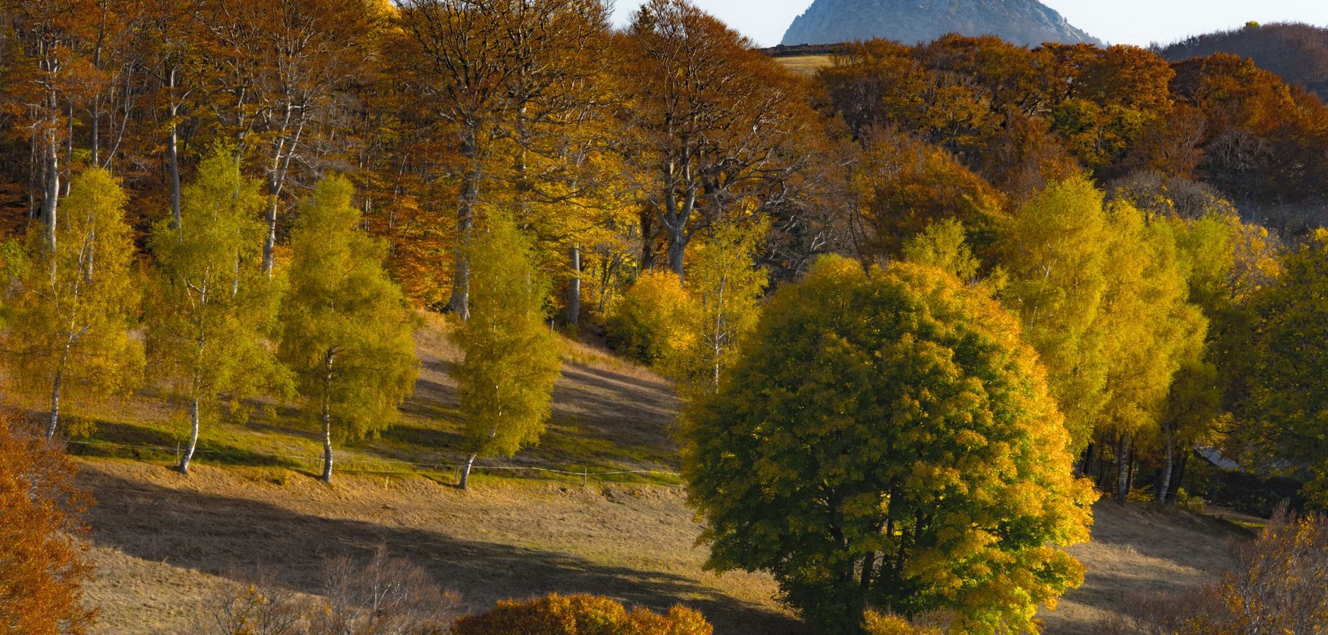 Restrictions d&rsquo;accès aux massifs forestiers : vigilance en période de sécheresse
