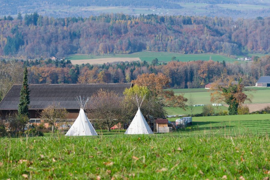 Un emplacement chez un agriculteur