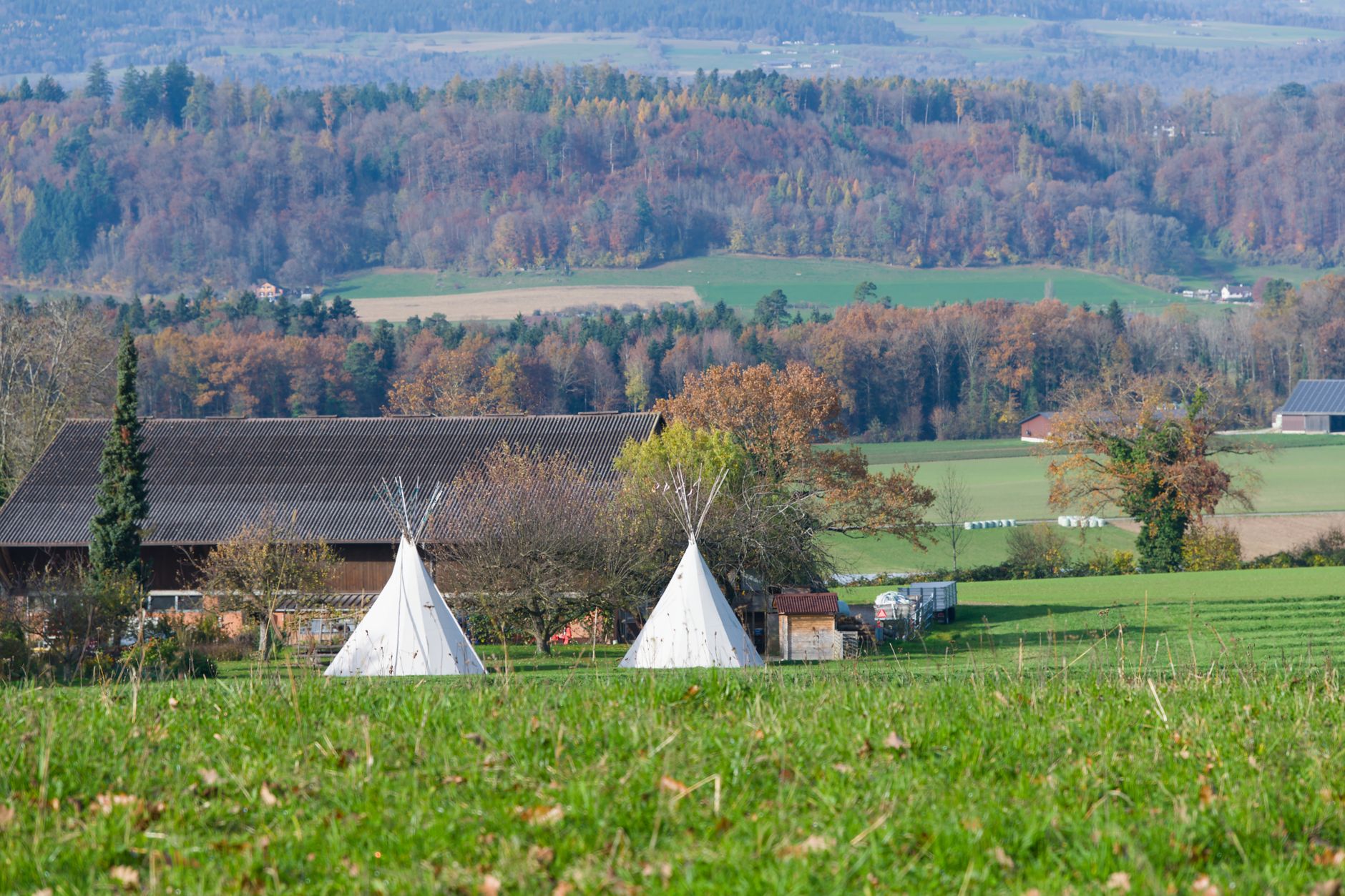Camping à la ferme : la solution légale que personne ne regarde