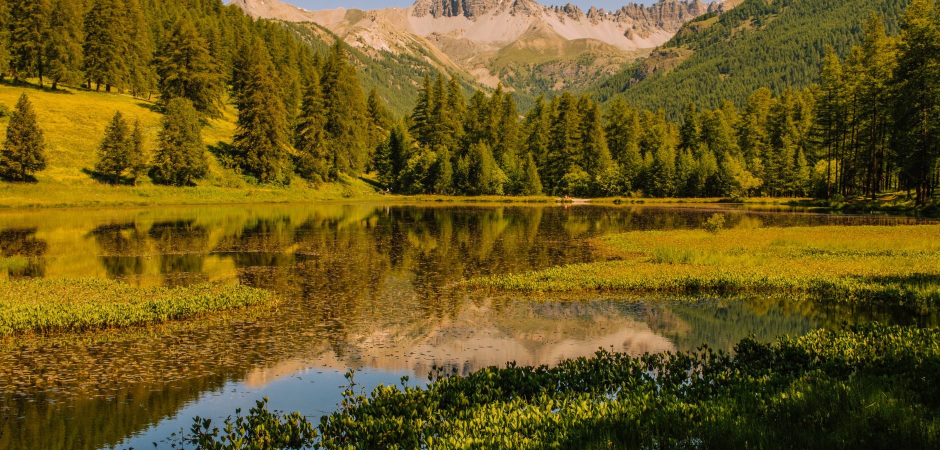Paysage de Auvergne-Rhône-Alpes