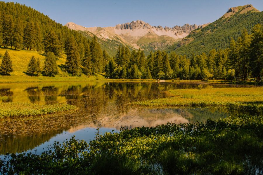 Paysage de Auvergne-Rhône-Alpes