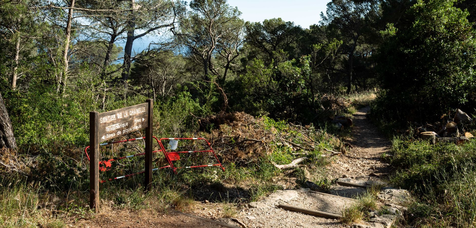 Attention aux campeurs : restrictions d&rsquo;accès aux massifs forestiers dans le sud de la France