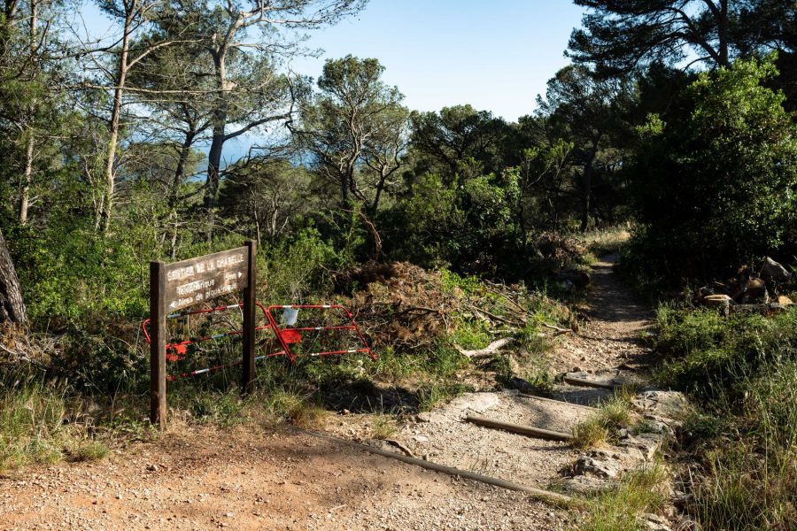 Attention aux campeurs : restrictions d&rsquo;accès aux massifs forestiers dans le sud de la France