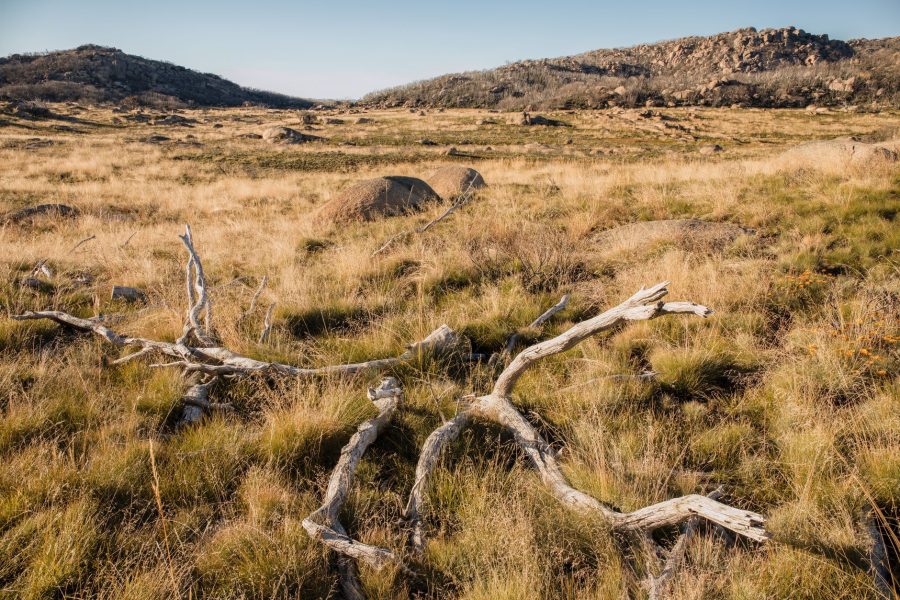 L'outback australien, où le camping est organisé