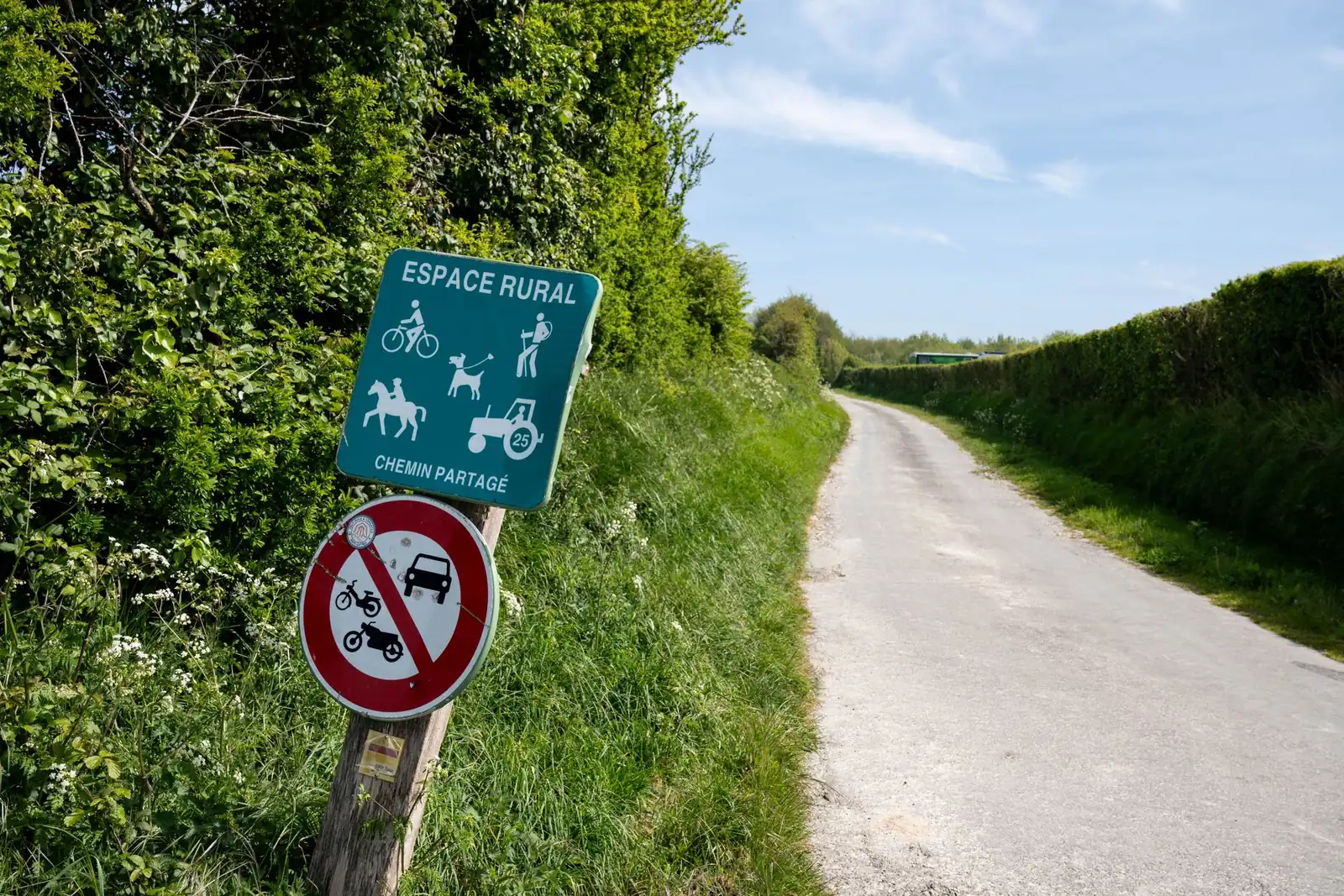 Prudence en camping : vérifiez les restrictions d&rsquo;accès aux massifs forestiers