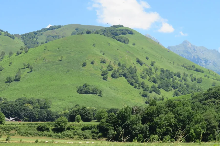 Pourquoi choisir un camping dans le Béarn ou en Soule cet été ?