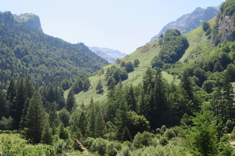 Le Pays basque redécouvre l&rsquo;authenticité des campings nature : un phénomène en pleine expansion