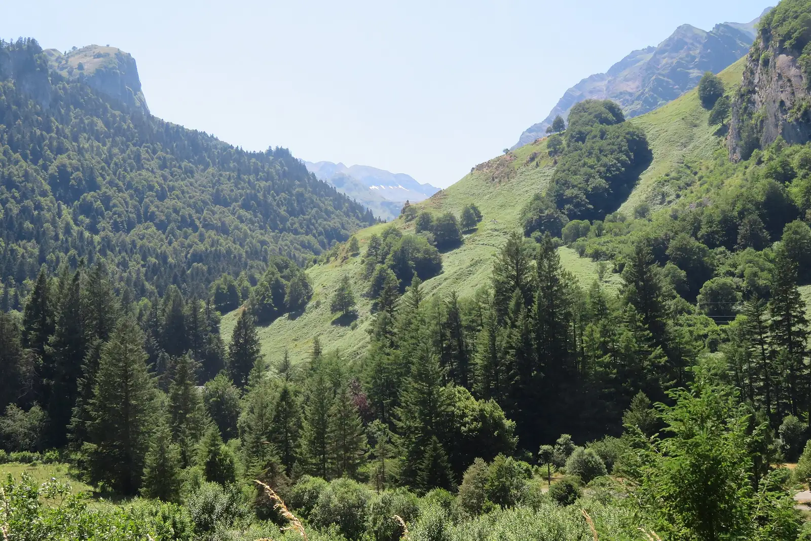 Le Pays basque redécouvre l&rsquo;authenticité des campings nature : un phénomène en pleine expansion