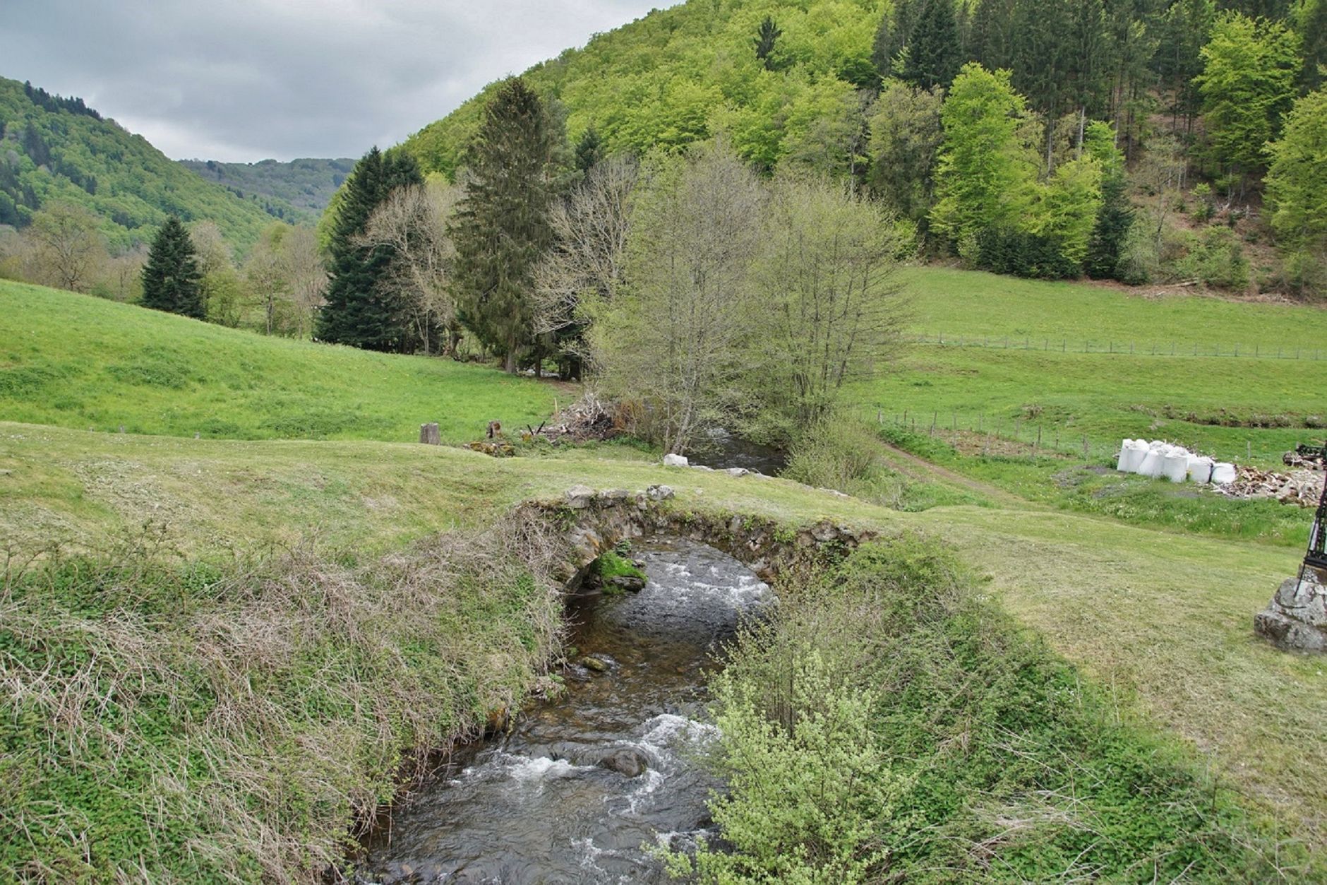 Pourquoi choisir un camping dans le Béarn ou en Soule cet été ?