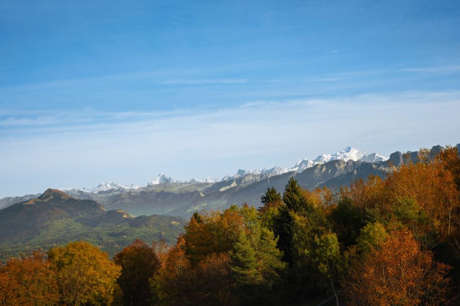 Accès aux Massifs Forestiers : Restez Vigilants