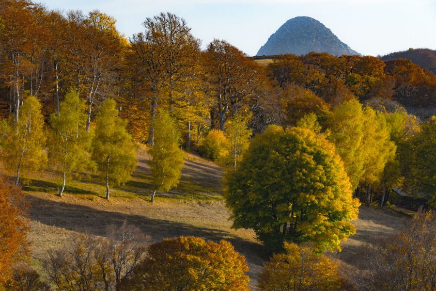 Accès aux Massifs Forestiers : Soyez Vigilants ce Week-end