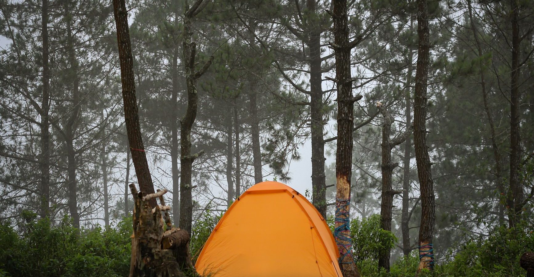 Réservations de dernière minute : astuces pour les campings