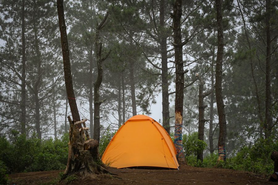 Réservations de dernière minute : astuces pour les campings