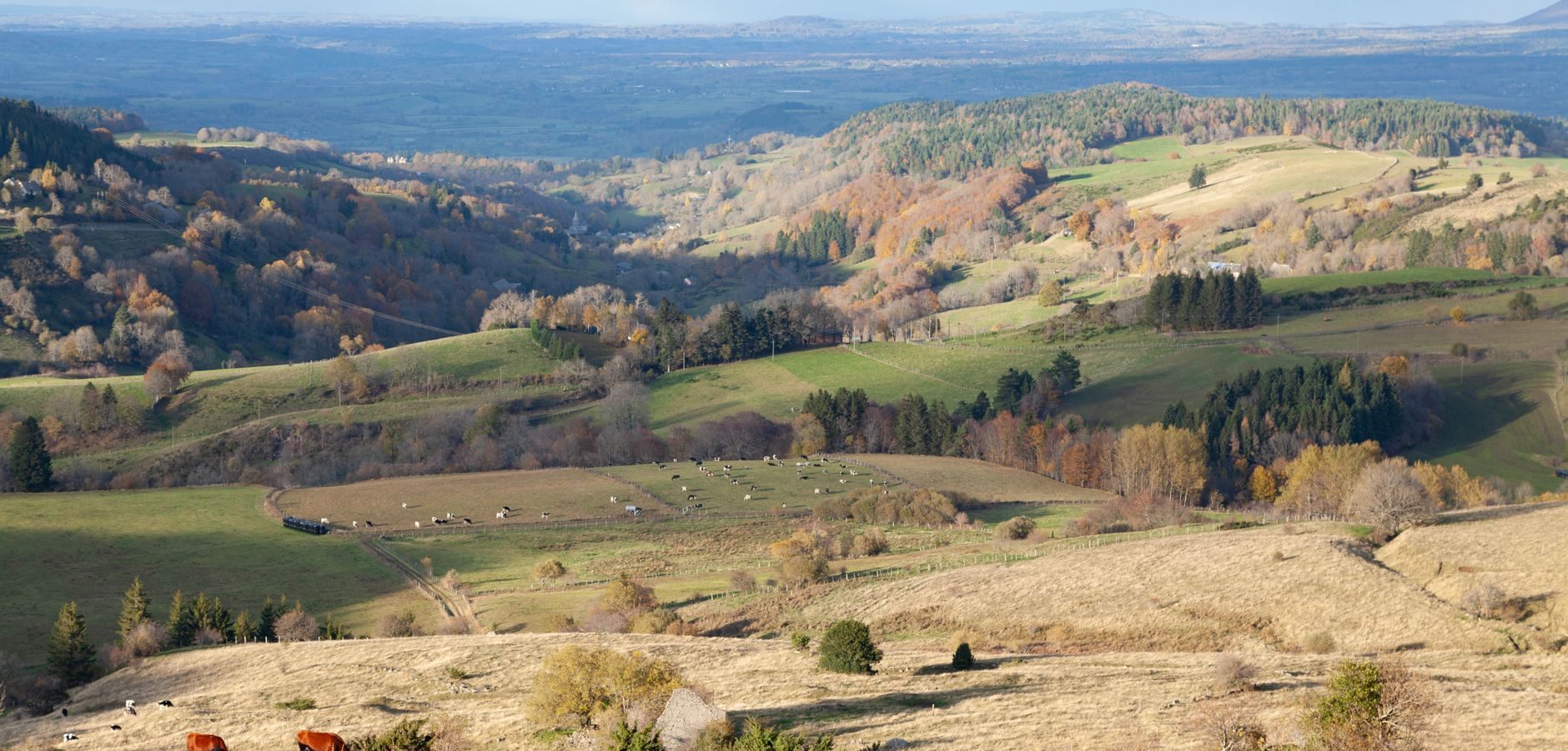 Pourquoi choisir un camping dans le Béarn ou en Soule cet été ?