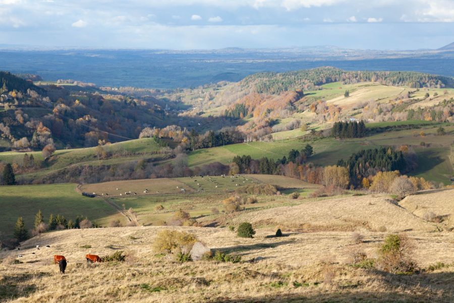 Pourquoi choisir un camping dans le Béarn ou en Soule cet été ?