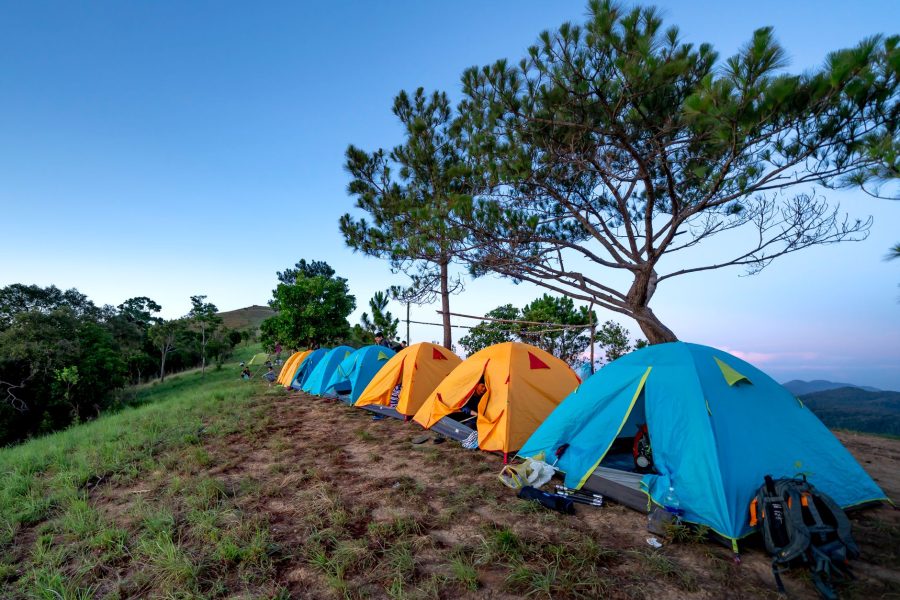 Pourquoi les campings ruraux à 30 € dominent le marché du luxe en 2026