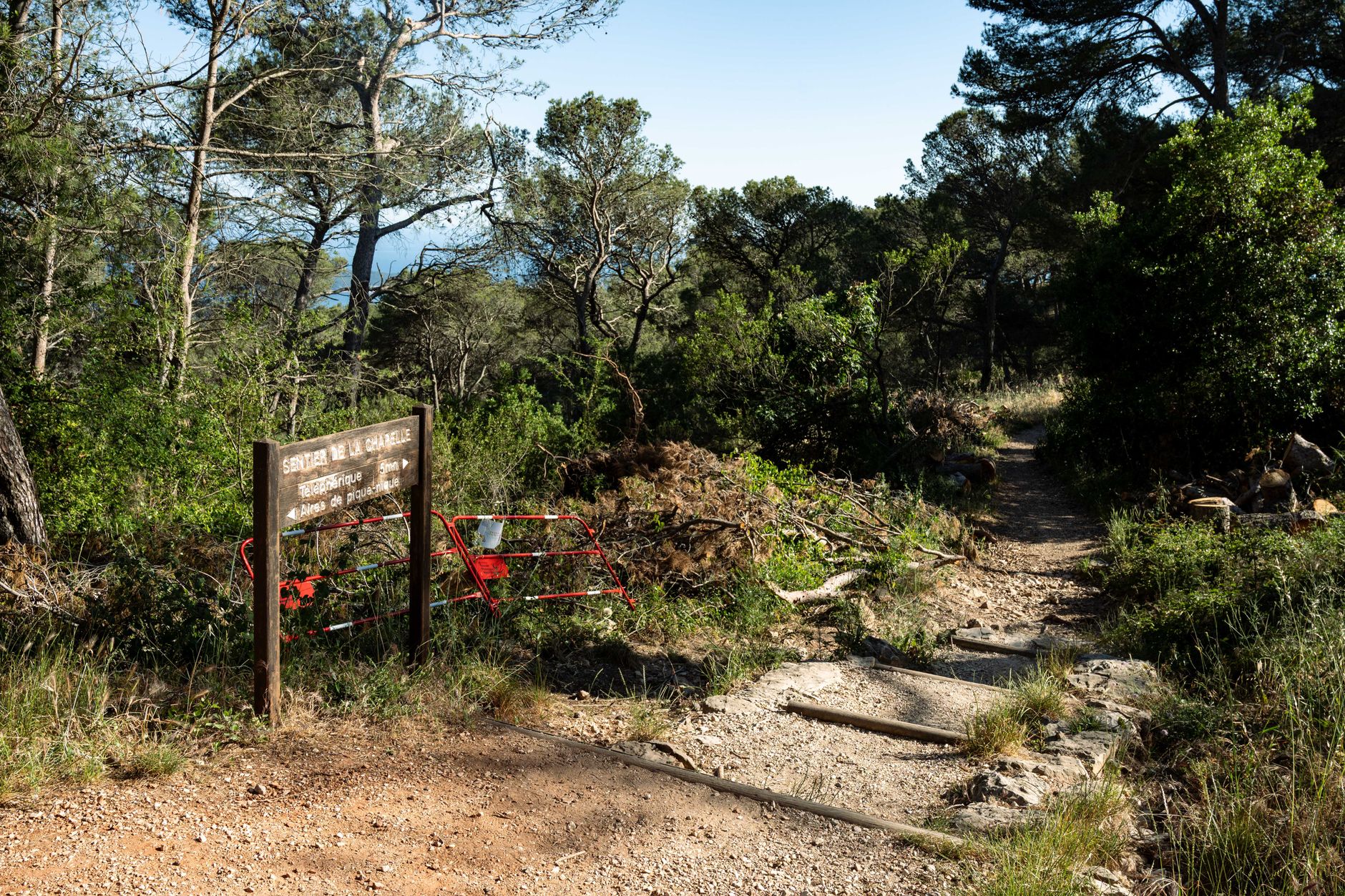 Attention aux campeurs : restrictions d'accès aux massifs forestiers dans le sud de la France