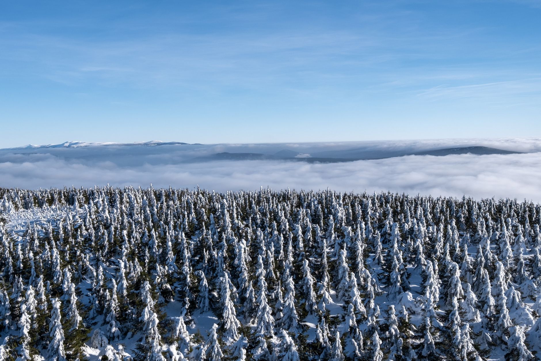 Soyez vigilant sur les accès aux massifs forestiers en cette saison