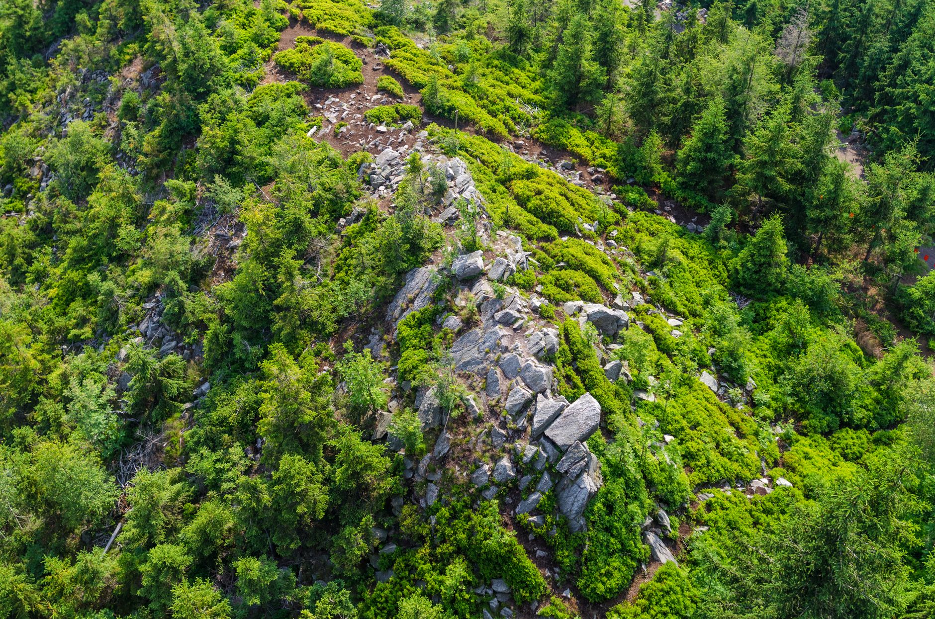 Vigilance requise pour l'accès aux massifs forestiers