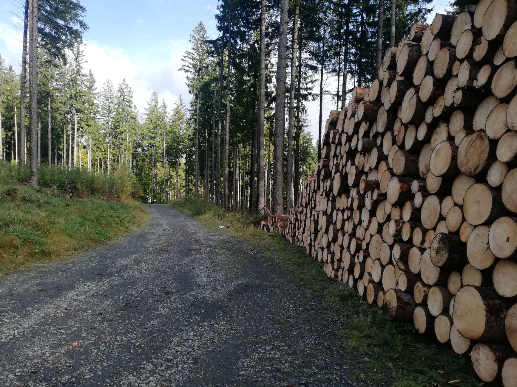 Restrictions d'accès aux massifs forestiers : préparez votre bivouac en toute sécurité