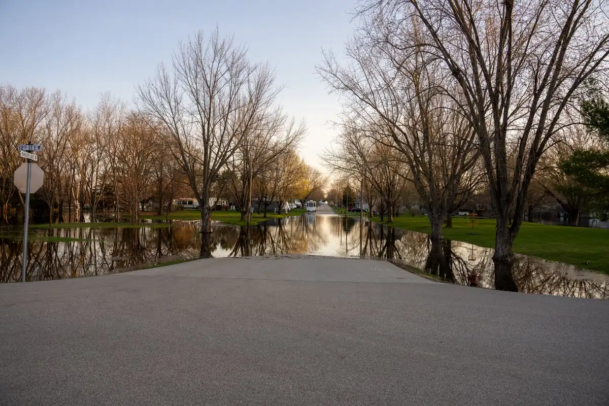 Route inondée en bord de rivière, arbres dans l'eau