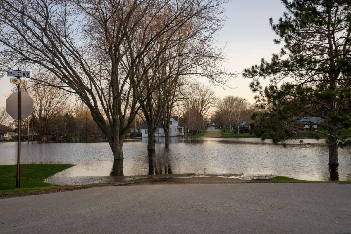 Parc submergé par une rivière en crue, arbres les pieds dans l'eau