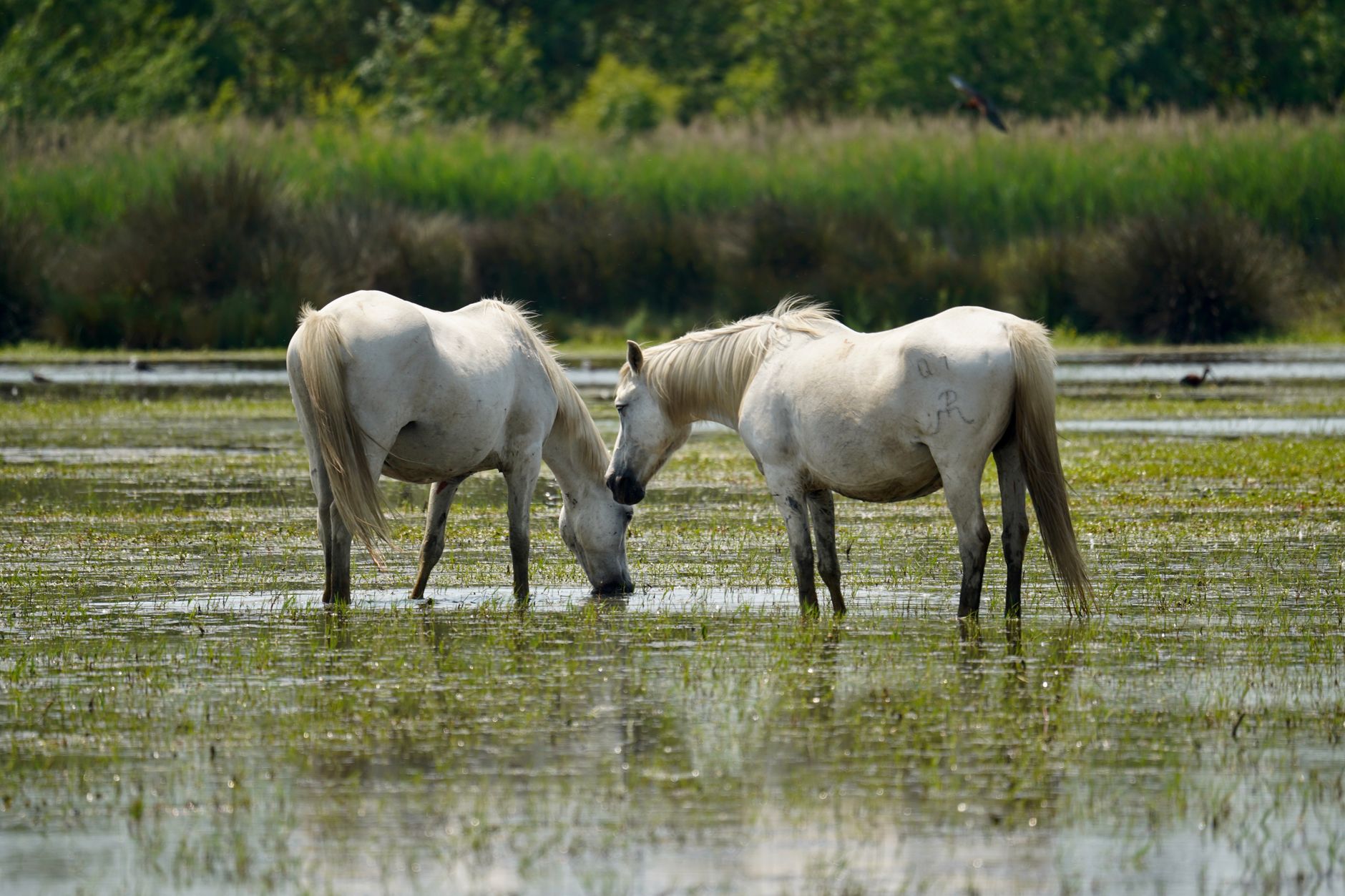 Découvrez les parcs naturels qui font rêver les amoureux de la nature