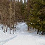 Camping en hiver : 8 conseils pour survivre au froid