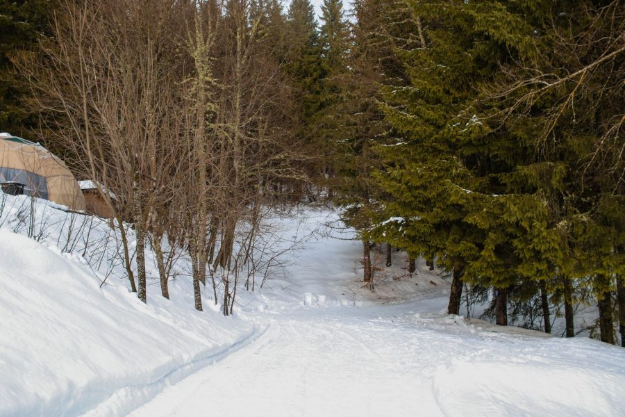Camping en hiver : 8 conseils pour survivre au froid