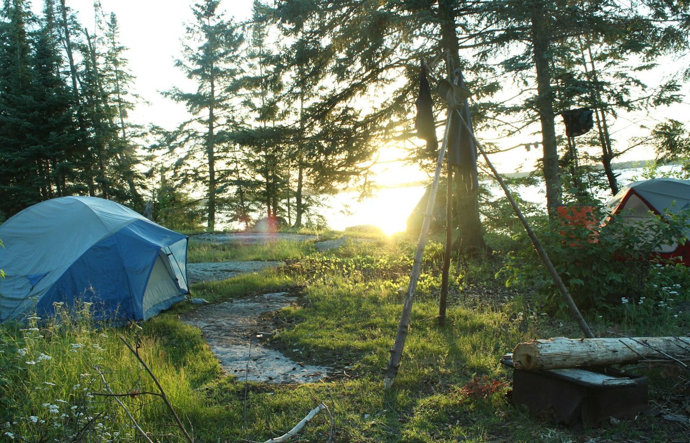 Camping sauvage en Europe : ce que la France ne vous dit pas pour 2026